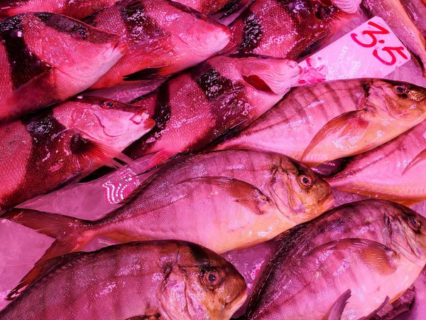 Secrets du jeûne intermittent pour un ventre plat : Témoignages inspirants et conseils pratiques